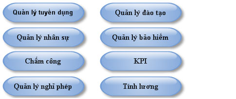 Sao Bắc Đẩu triển khai thành công PM quản lý nhân sự S-HRM tại Tân Hiệp Phát