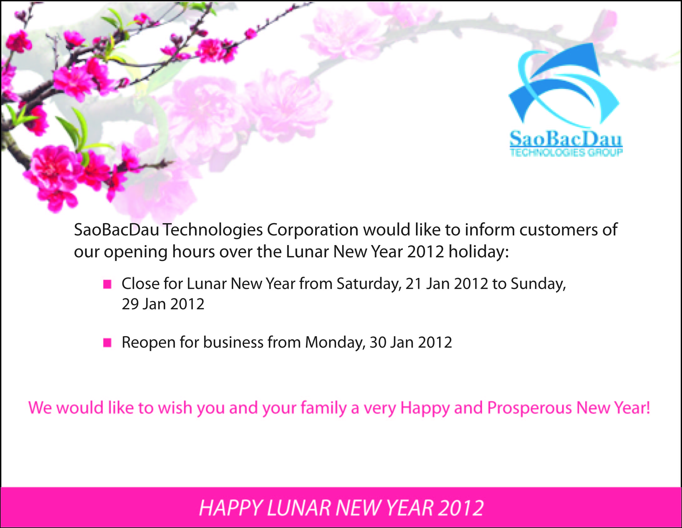 Lunar New Year Holiday Notice